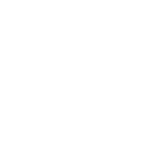 Hyster